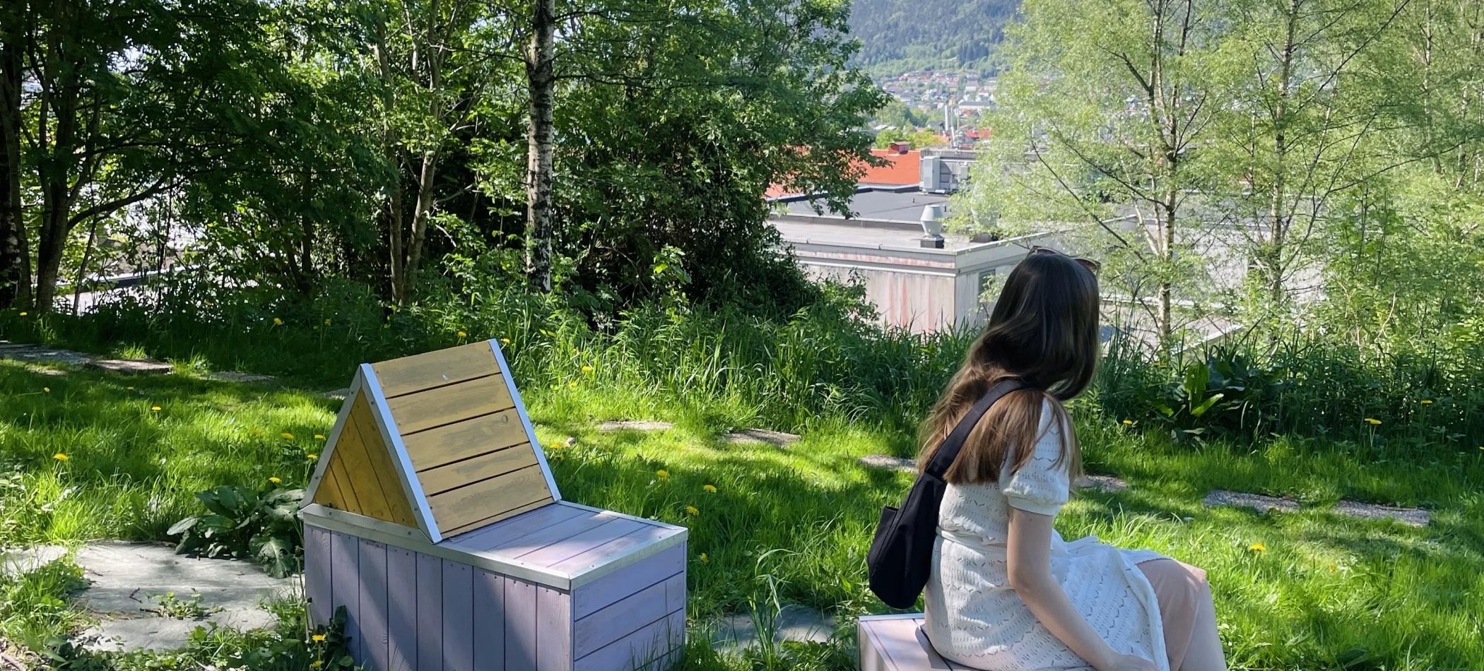Fargerike benker på en gresseng.